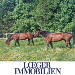 +VERKAUFT+ Bauernhof – Pferdehof in Dießen am Ammersee