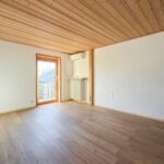 Zimmer1