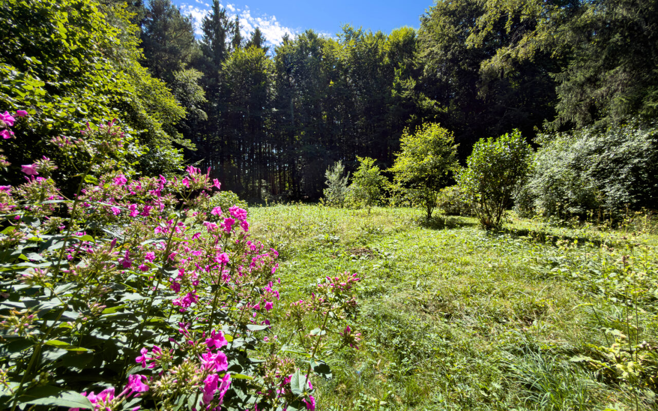 Nahe der Ilkahöhe – ca. 4.000 m² Freizeitgrundstück in Tutzing-Obertraubing